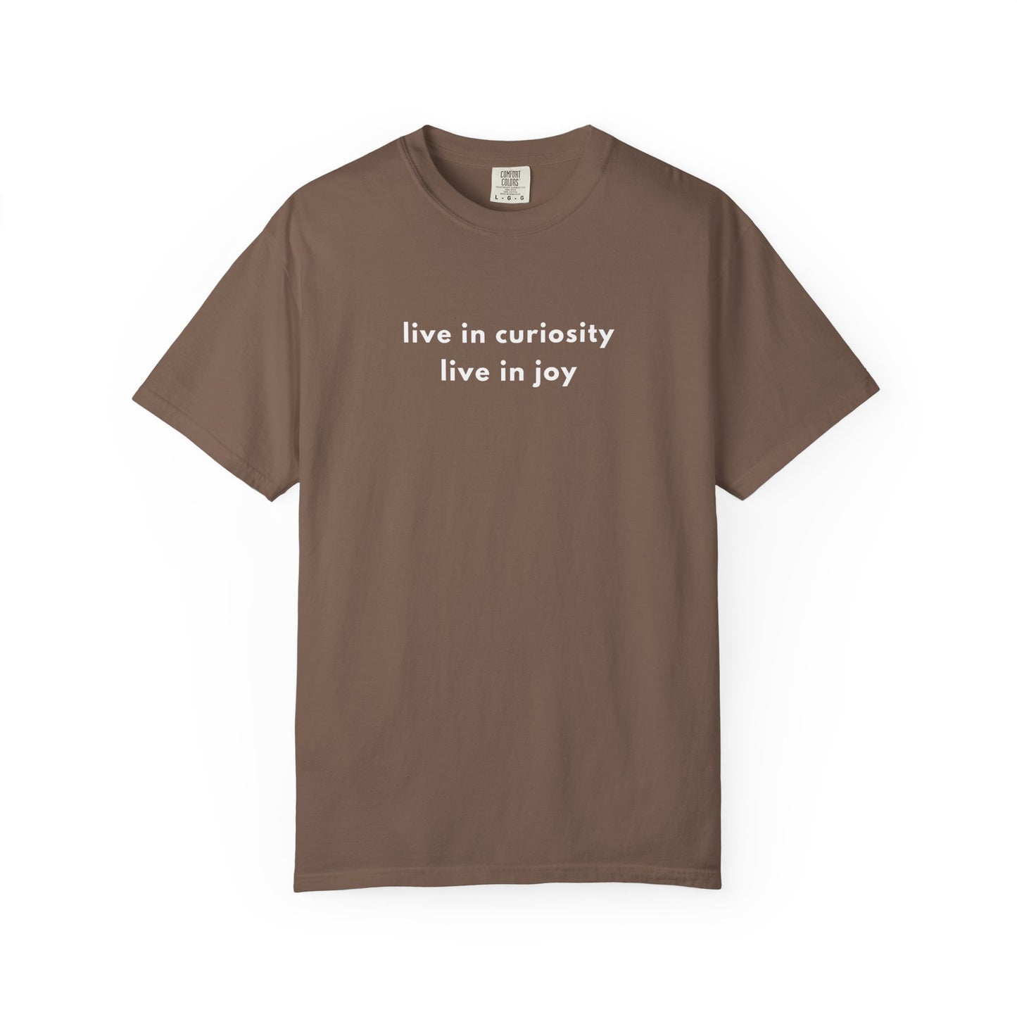 curiosity & joy tee