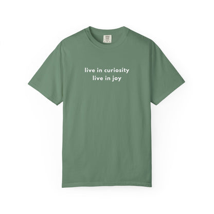 curiosity & joy tee